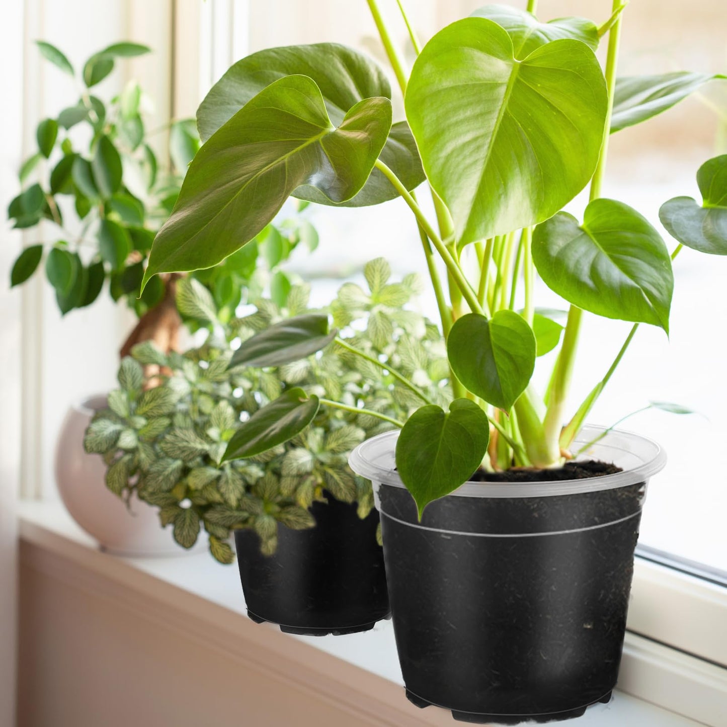 Plant Pots,Black Plastic Pots with Drainage Holes