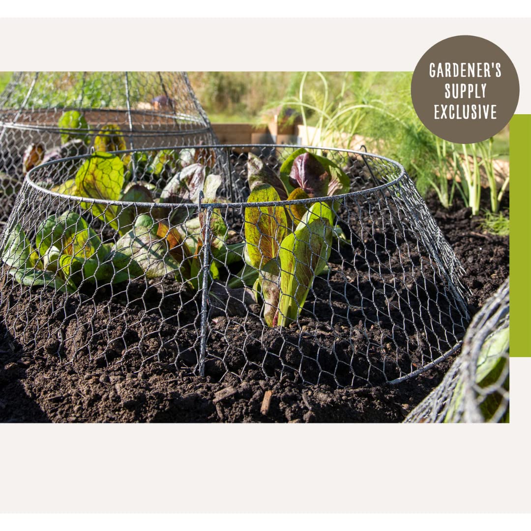 Sturdy Metal Garden Protection for Your Crops and Seedlings
