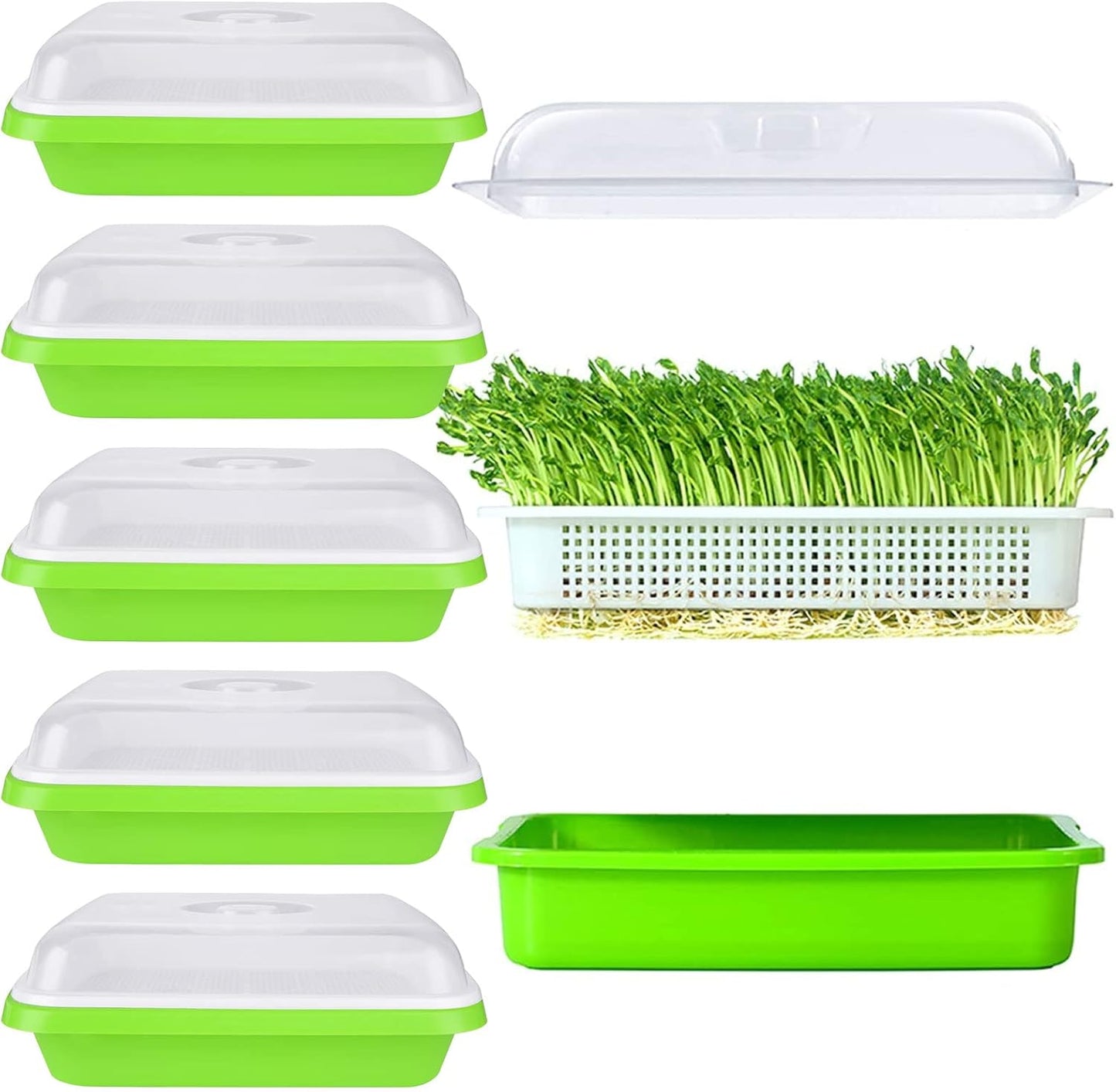 6 Pack Seed Sprouting Tray- BPA Free