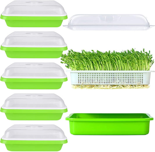6 Pack Seed Sprouting Tray- BPA Free