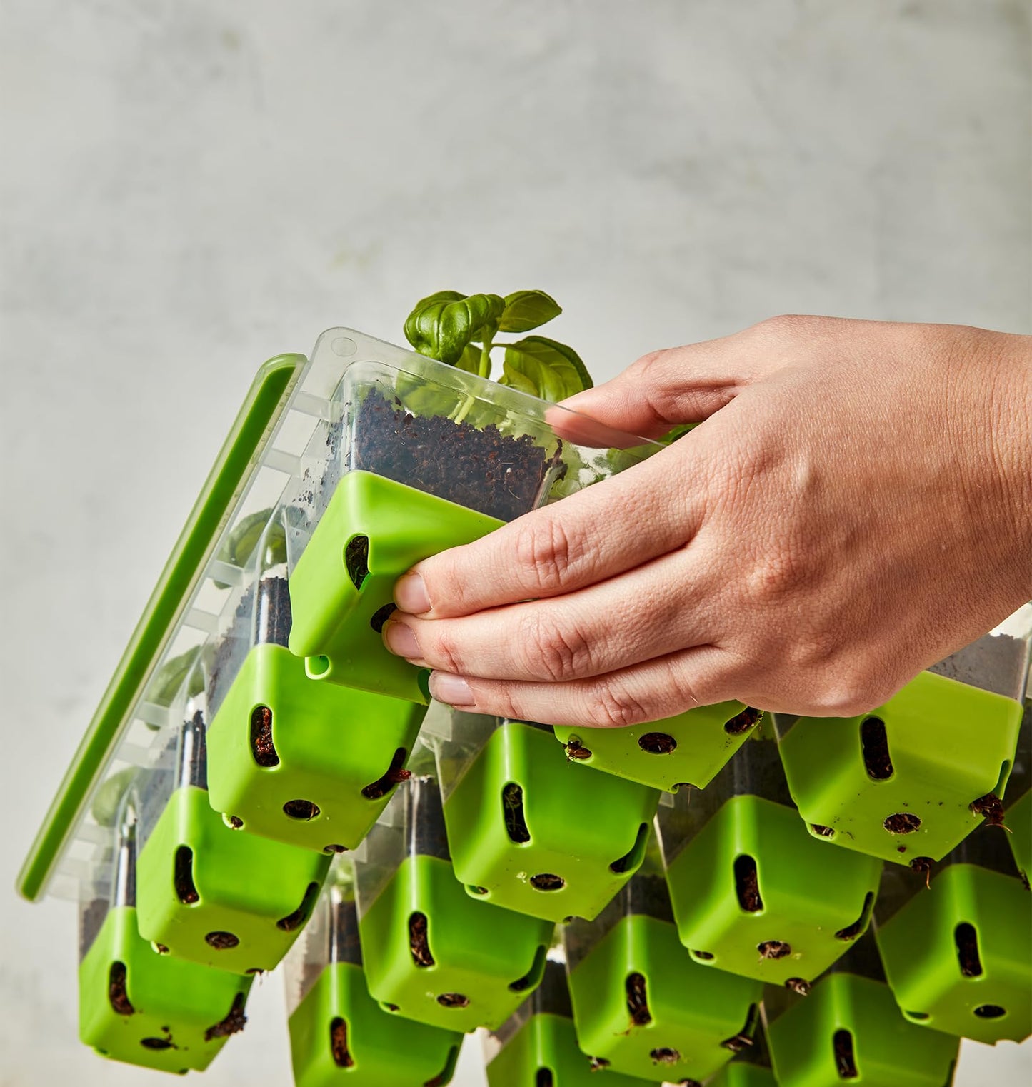 Seed Starting Tray for Starting Vegetable, Flower & Herb Seeds for Germination Success