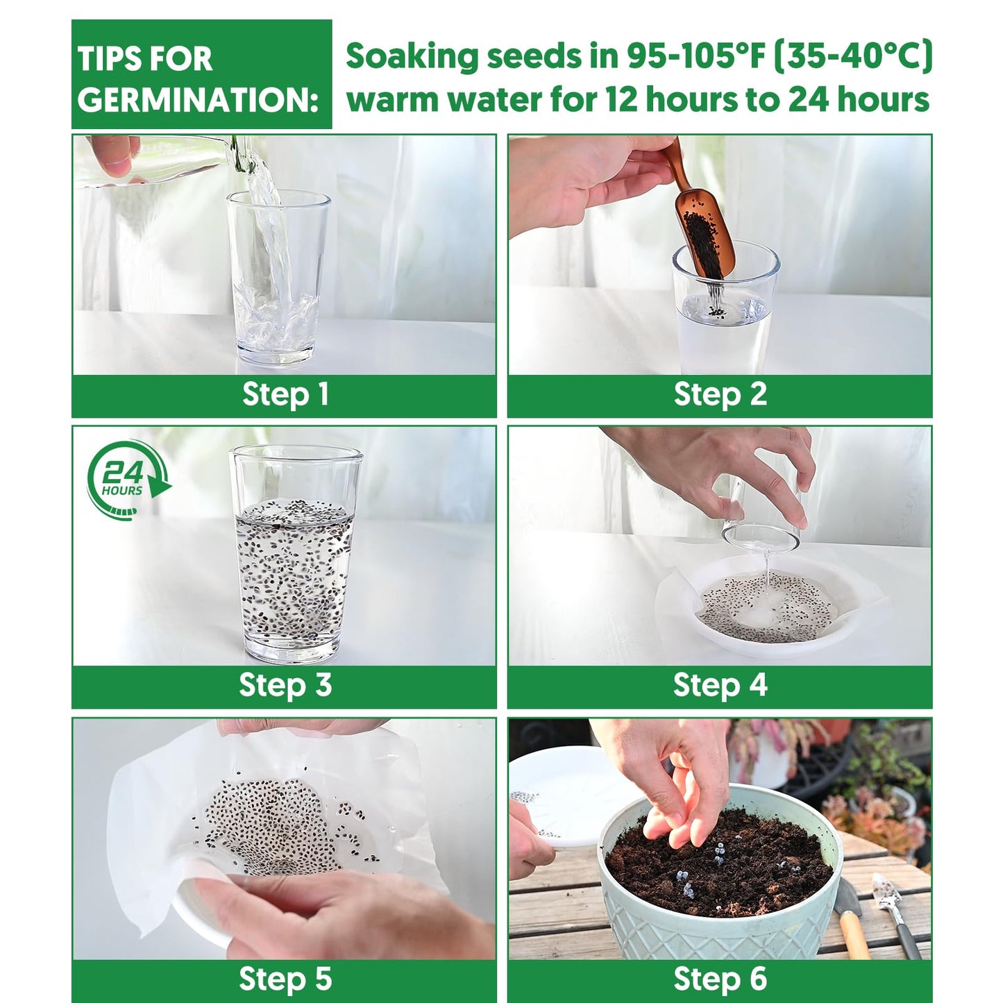 Non-GMO Heirloom Seeds 20,000+ Assorted Varieties available