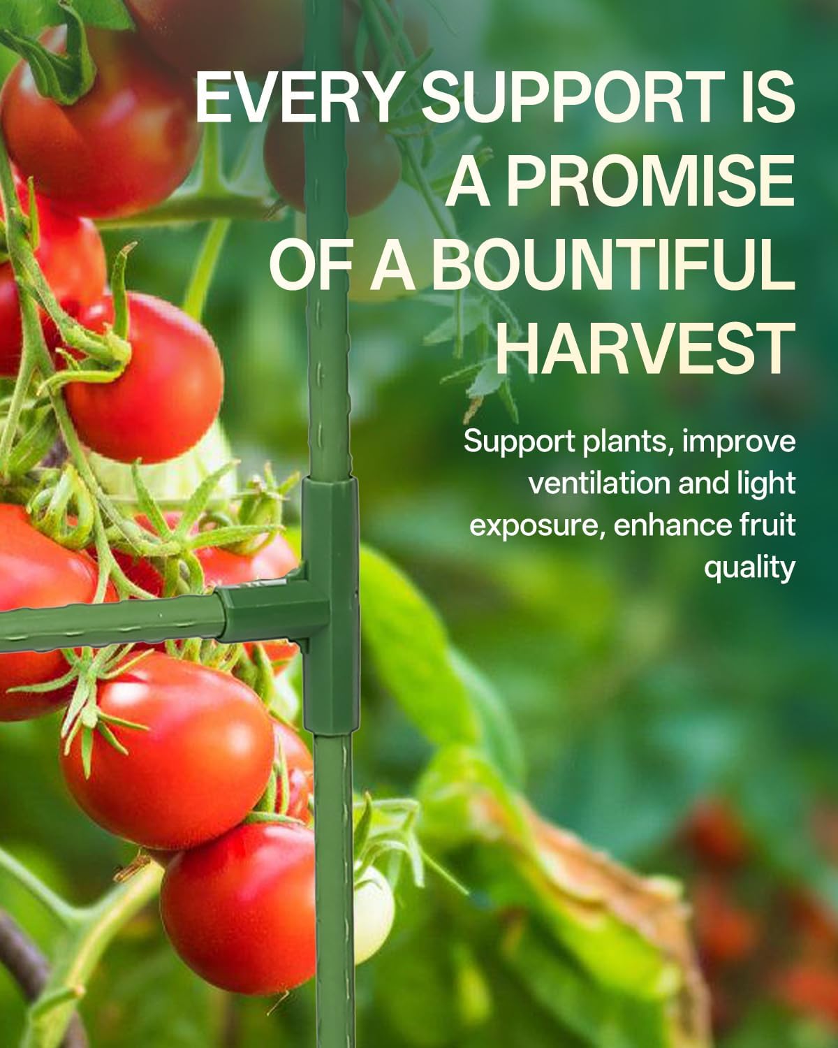 3 Pack Square Tomato Support Cagest for Climbing Vegetables, Flowers, Beans, Cucumber Peony