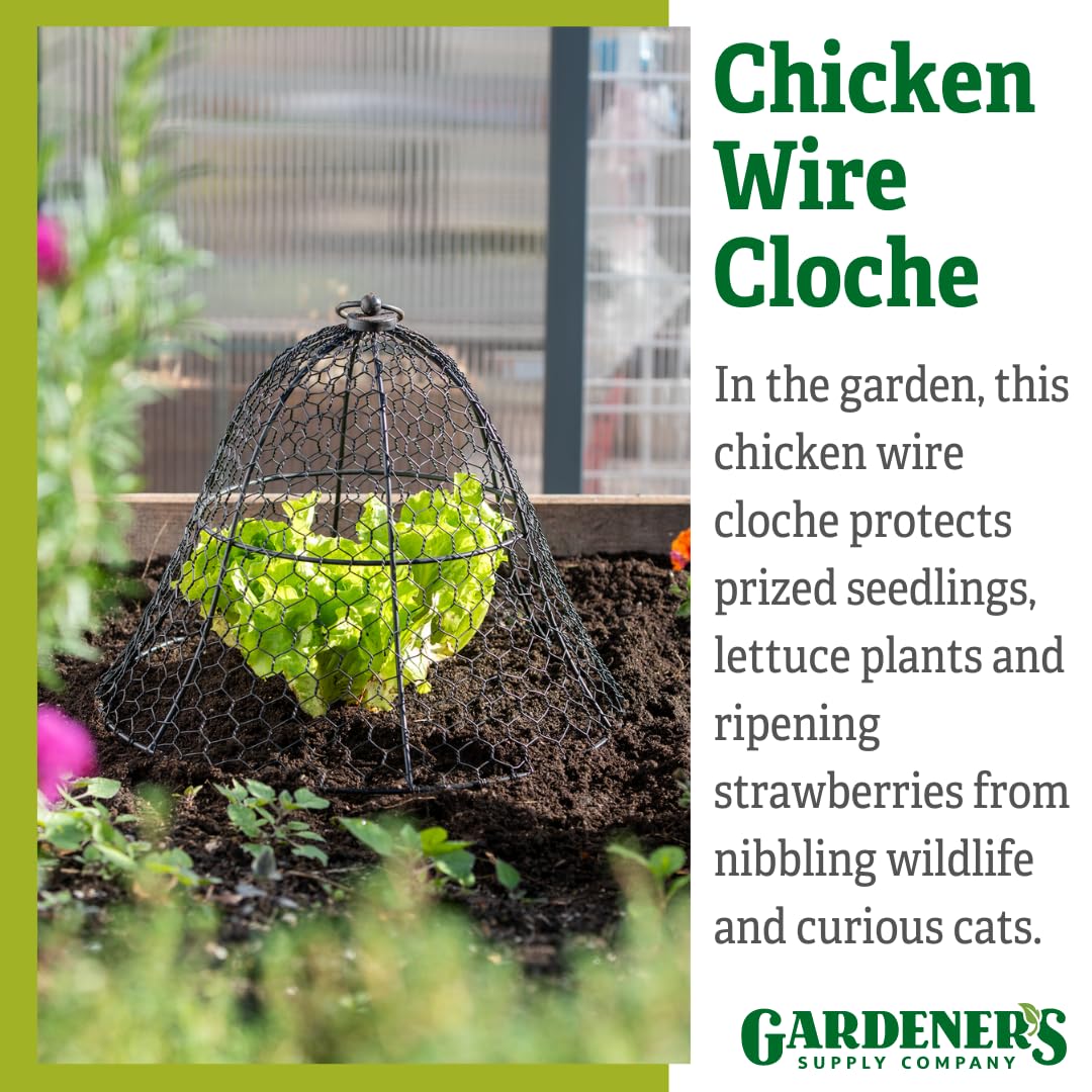 Sturdy Metal Garden Protection for Your Crops and Seedlings