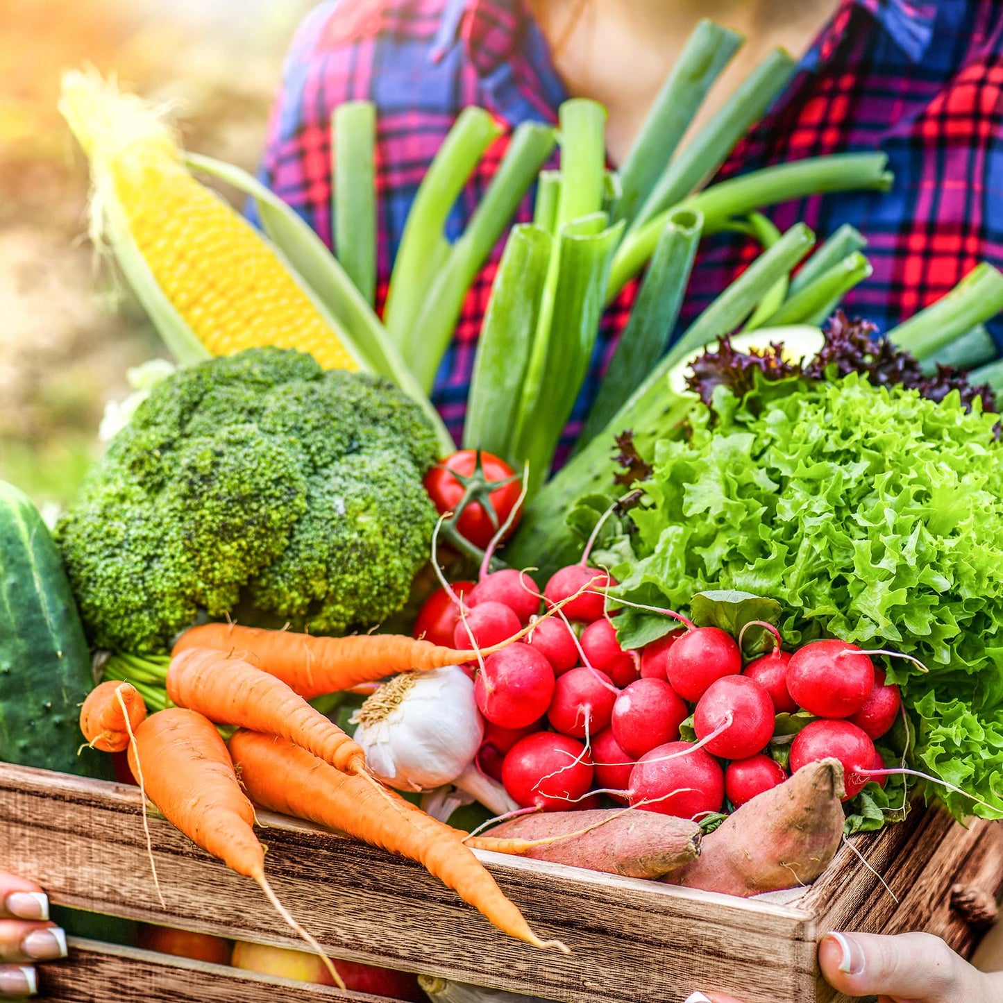 Non-GMO Heirloom Seeds 20,000+ Assorted Varieties available