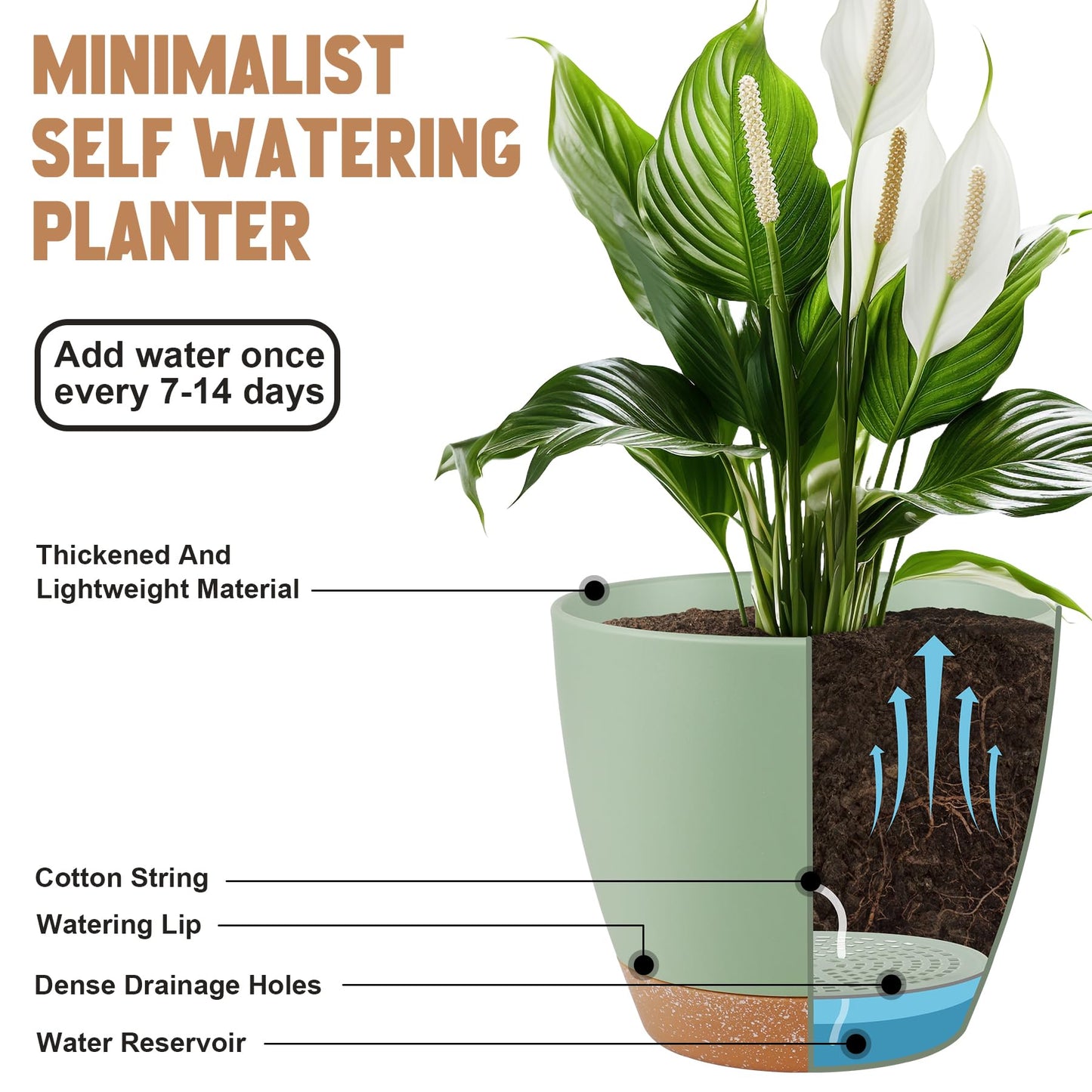 Self Watering Pots, Set of 5 Plastic Planters INdoor/Outdoor