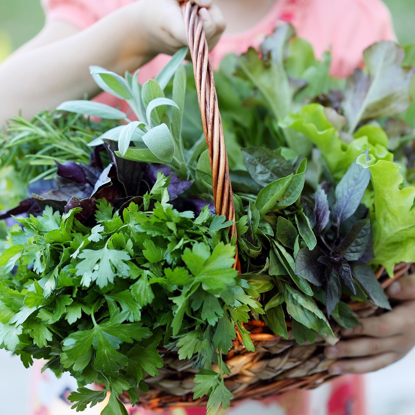 Non-GMO Heirloom Seeds 20,000+ Assorted Varieties available