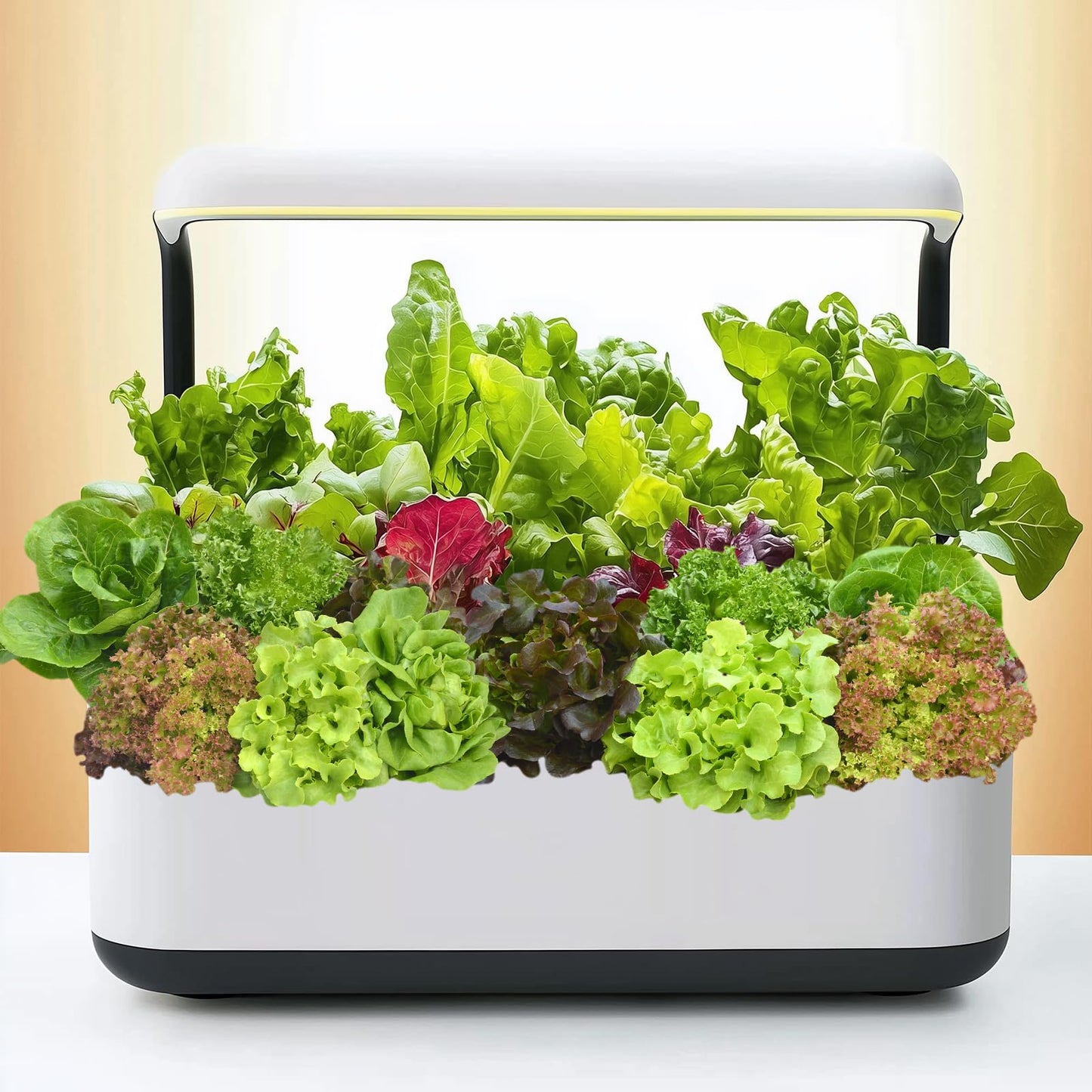 Non-GMO Heirloom Seeds 20,000+ Assorted Varieties available