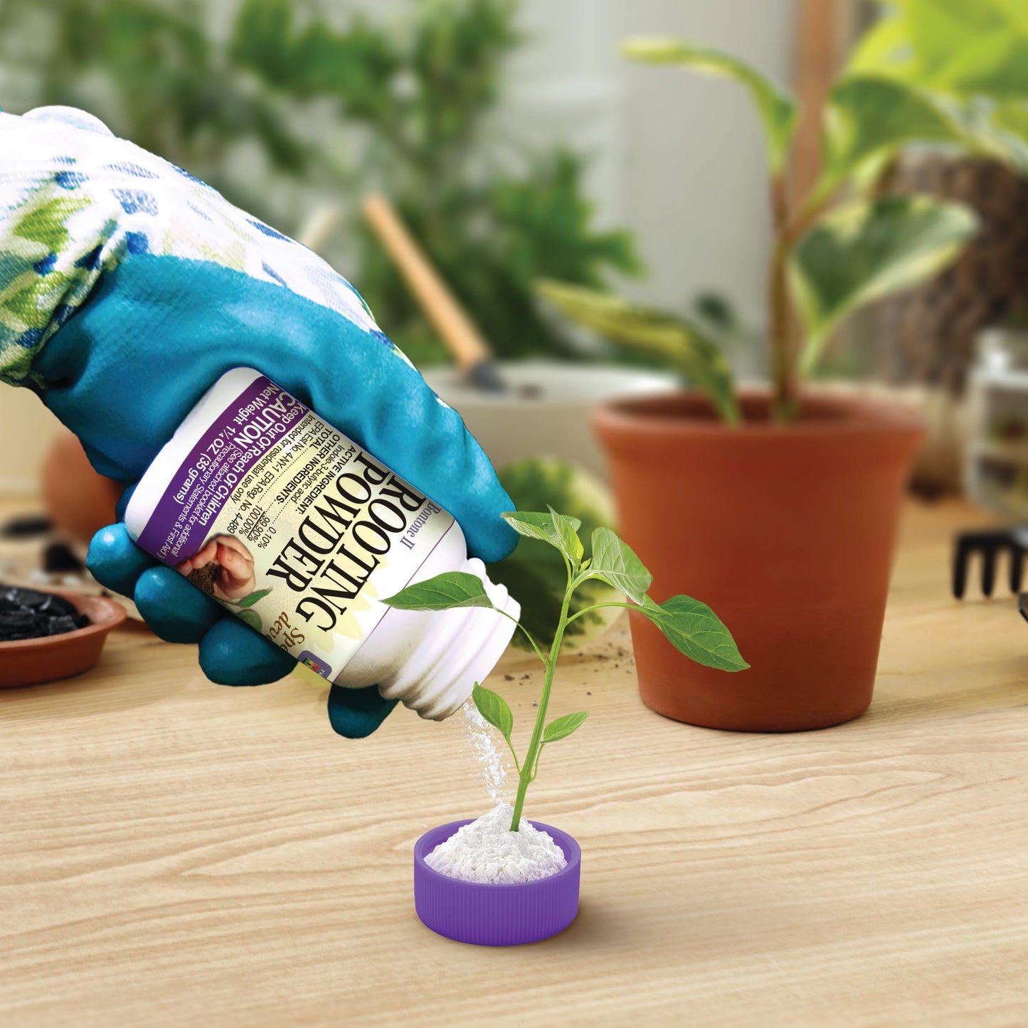 Rooting Powder Dust for Houseplants and Transplants Speeds Root Development