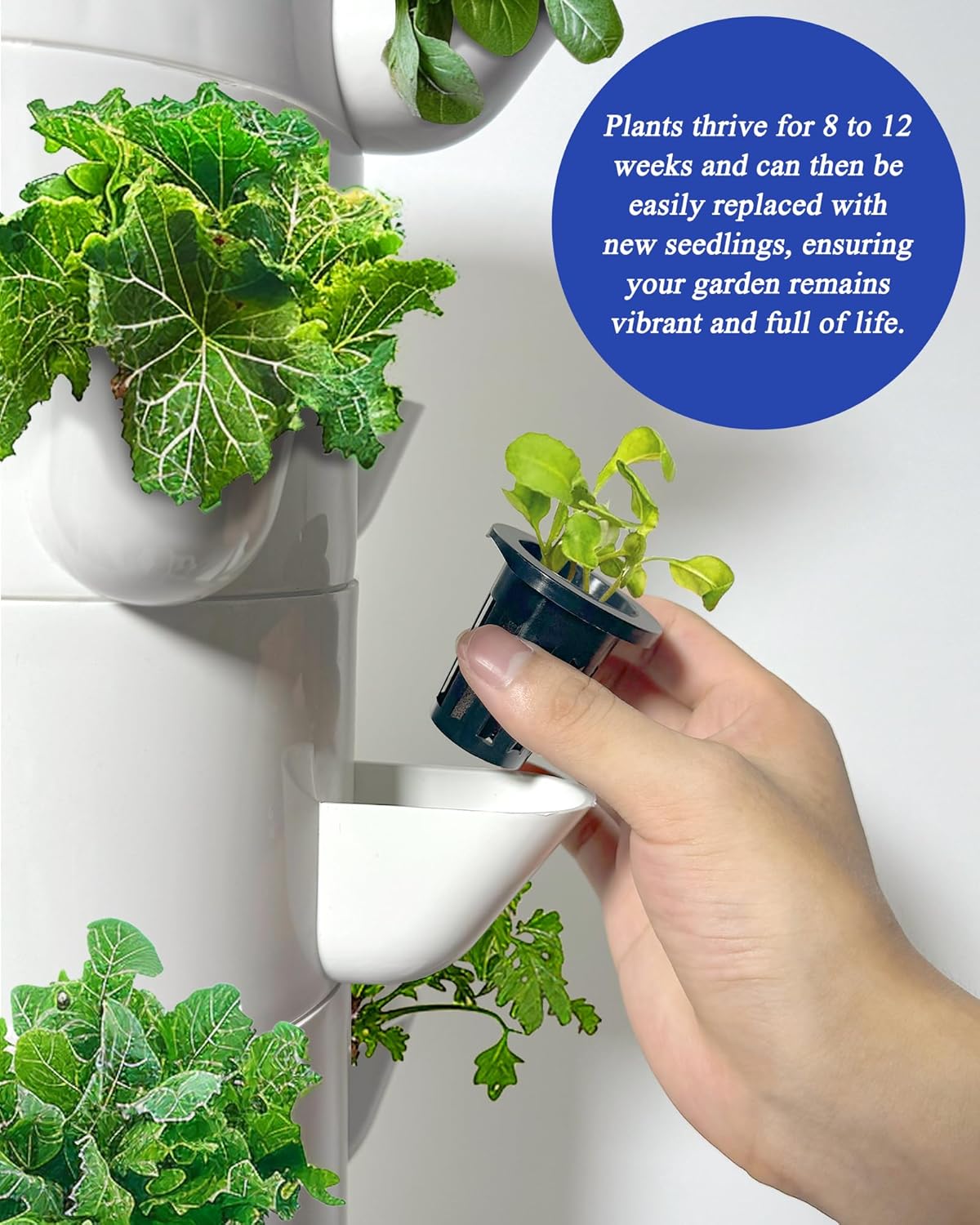 30 Plants Hydroponic Growing System Kit with Water Pump