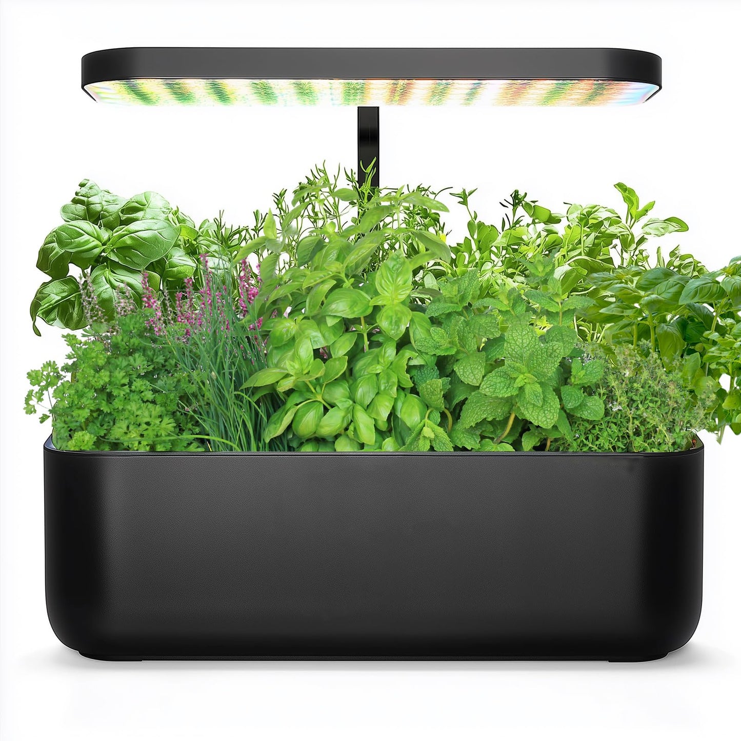 Non-GMO Heirloom Seeds 20,000+ Assorted Varieties available