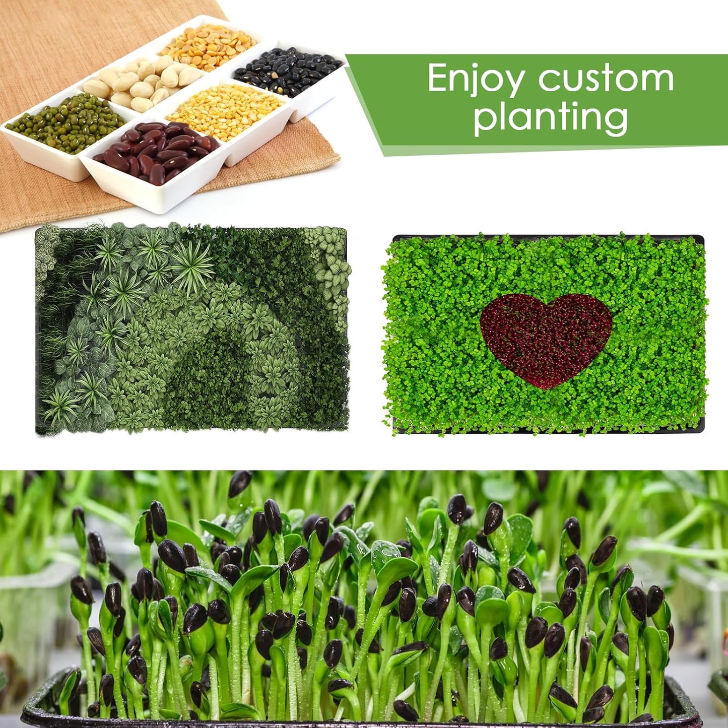 6Pack Microgreens Growing Trays with Plant Hemp Fiber Grow Mat