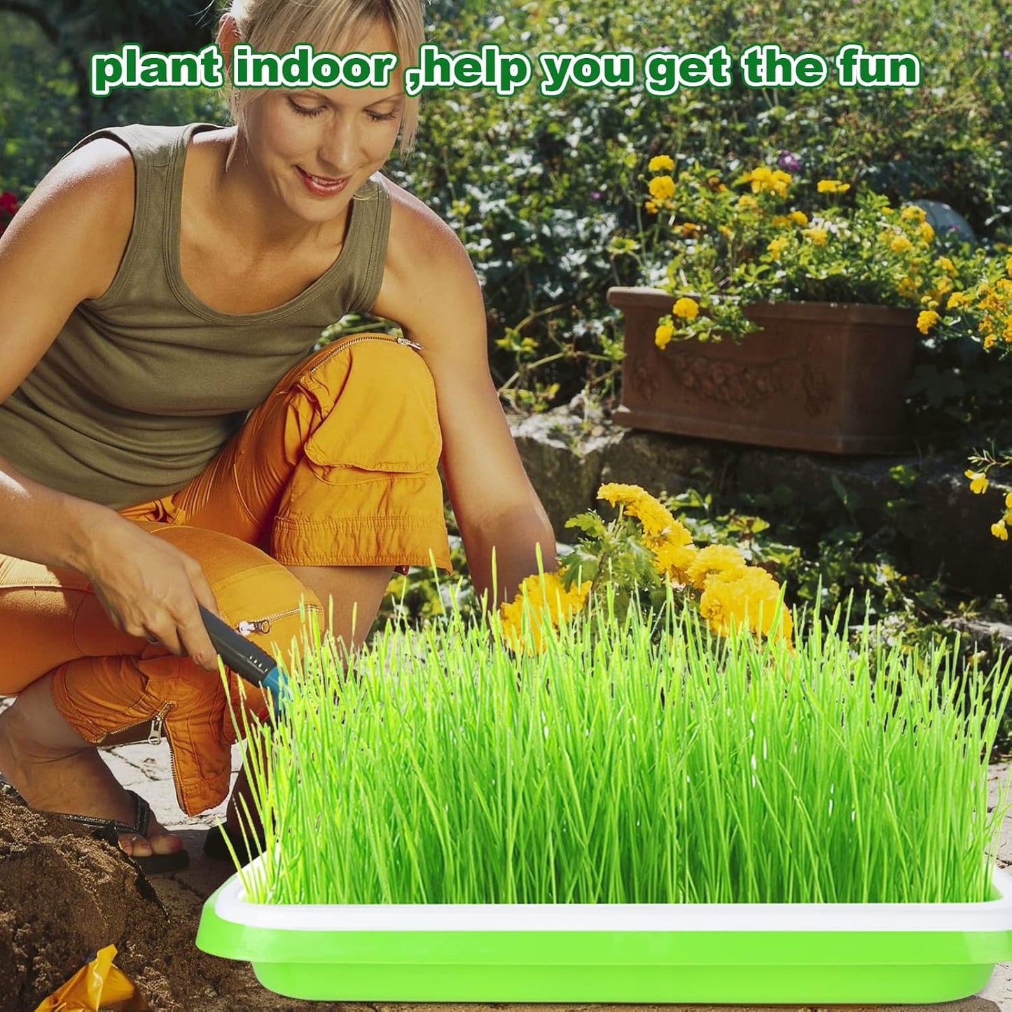 6 Pack Seed Sprouting Tray- BPA Free