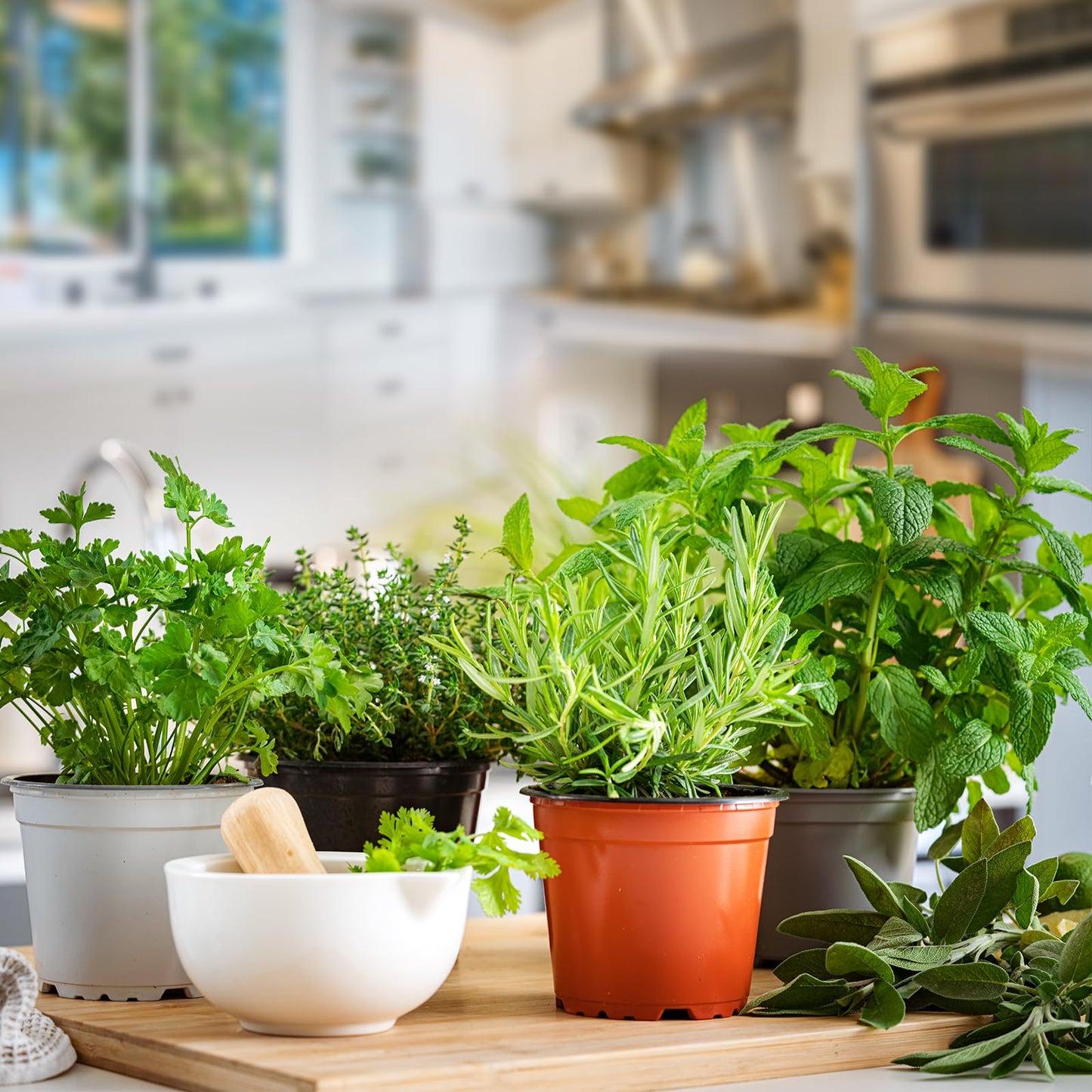 Non-GMO Heirloom Seeds 20,000+ Assorted Varieties available