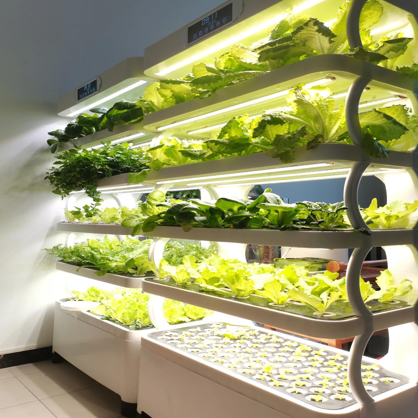 Non-GMO Heirloom Seeds 20,000+ Assorted Varieties available