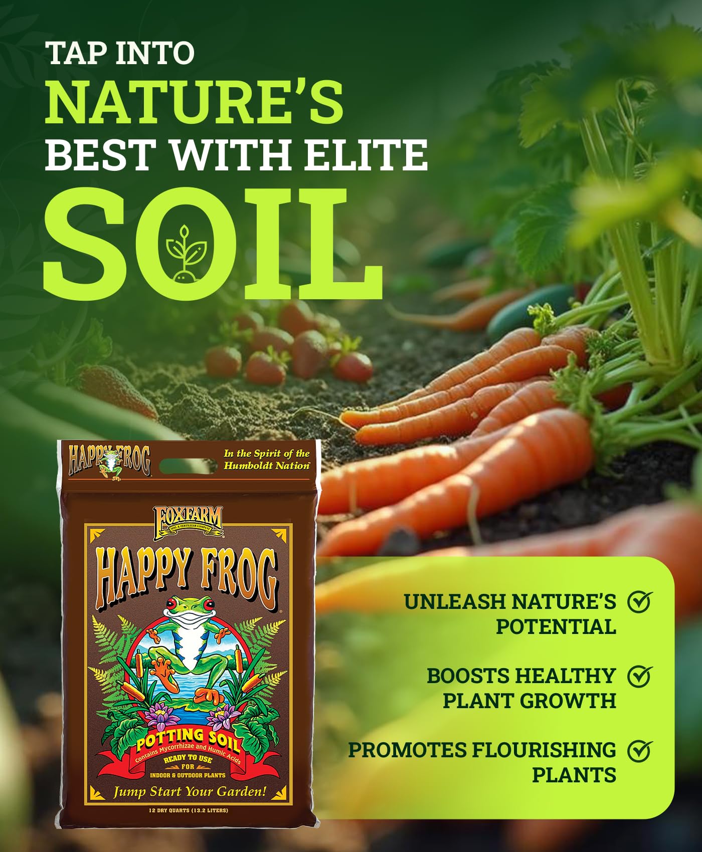 FoxFarm Happy Frog Potting Soil, 12qt – for Indoor/Outdoor Container Plants