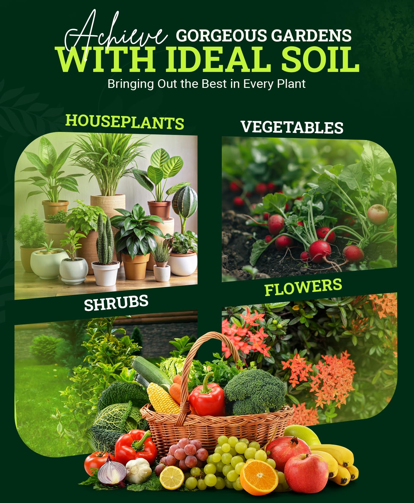 FoxFarm Happy Frog Potting Soil, 12qt – for Indoor/Outdoor Container Plants