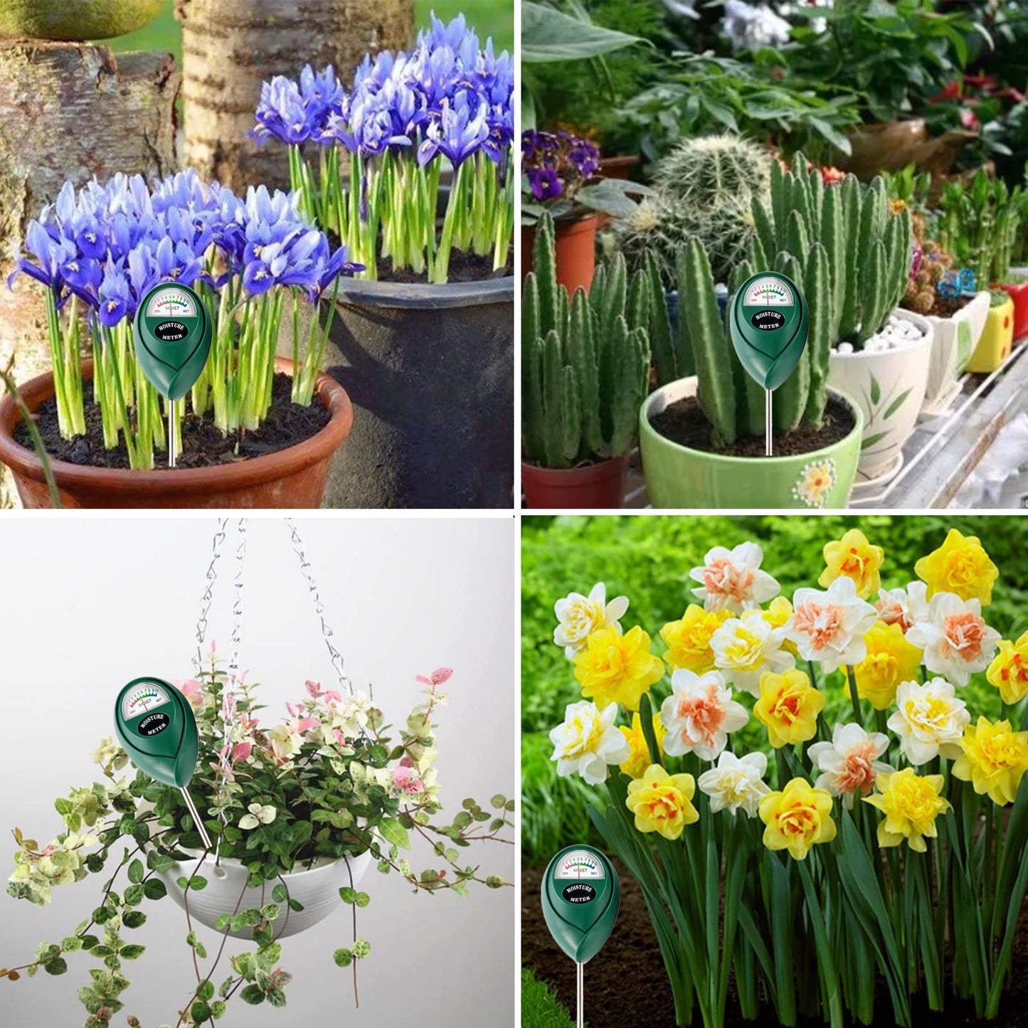 Soil Moisture Hygrometer