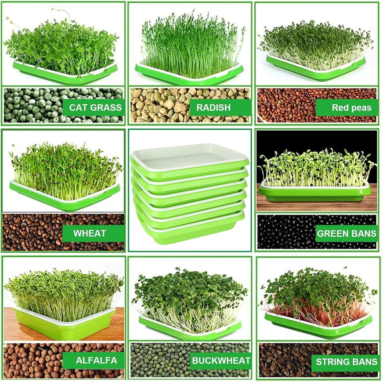 6 Pack Seed Sprouting Tray- BPA Free