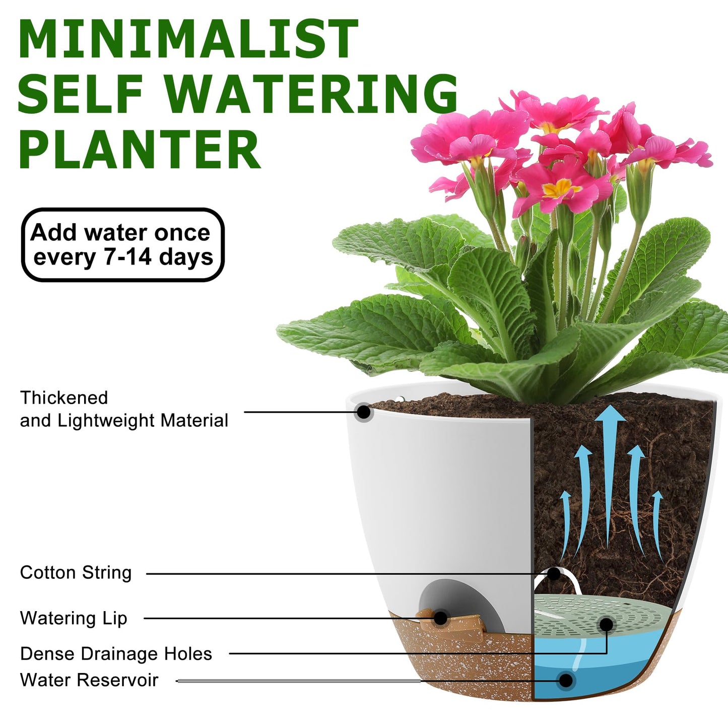 Self Watering Pots, Set of 5 Plastic Planters INdoor/Outdoor