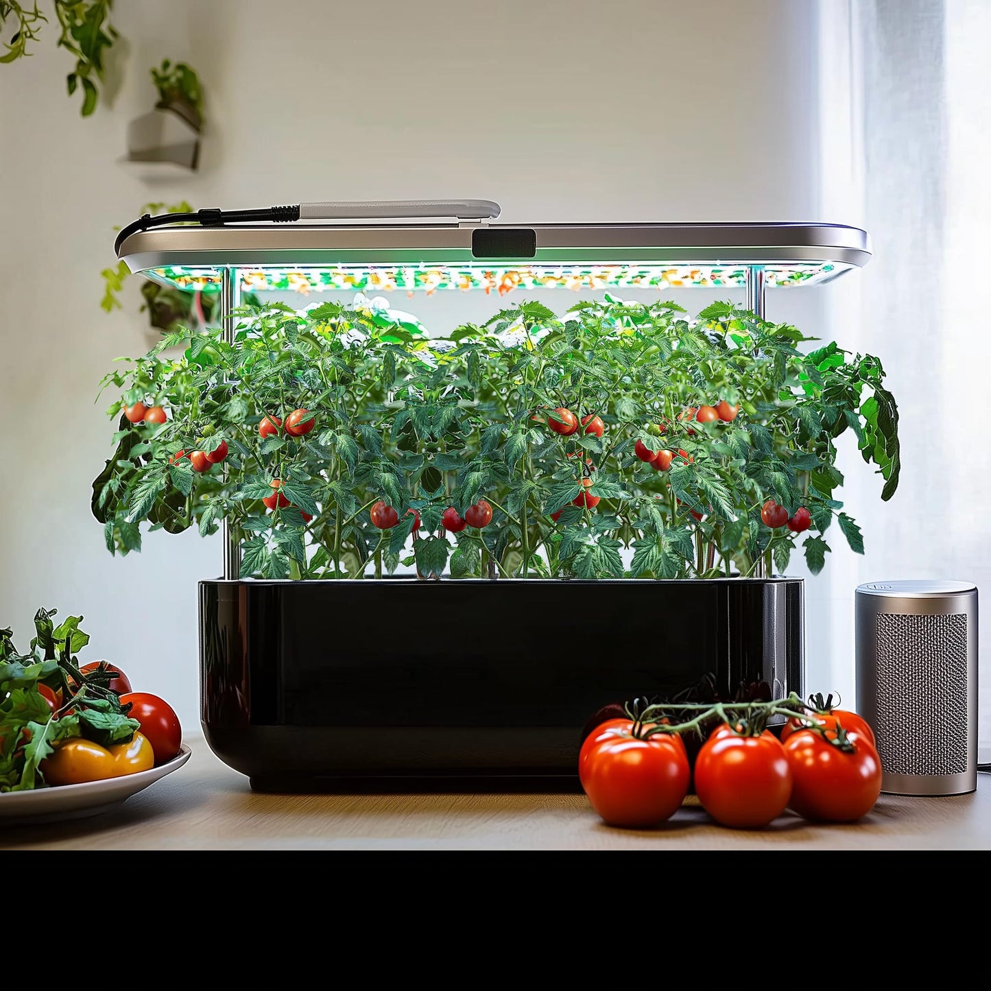 Non-GMO Heirloom Seeds 20,000+ Assorted Varieties available