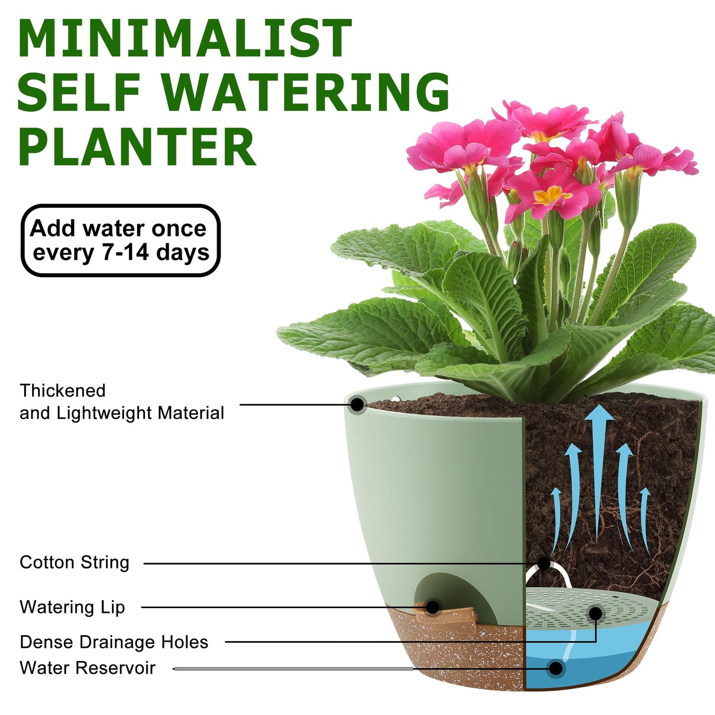 Self Watering Pots, Set of 5 Plastic Planters INdoor/Outdoor
