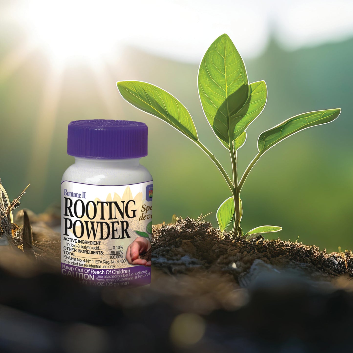 Rooting Powder Dust for Houseplants and Transplants Speeds Root Development
