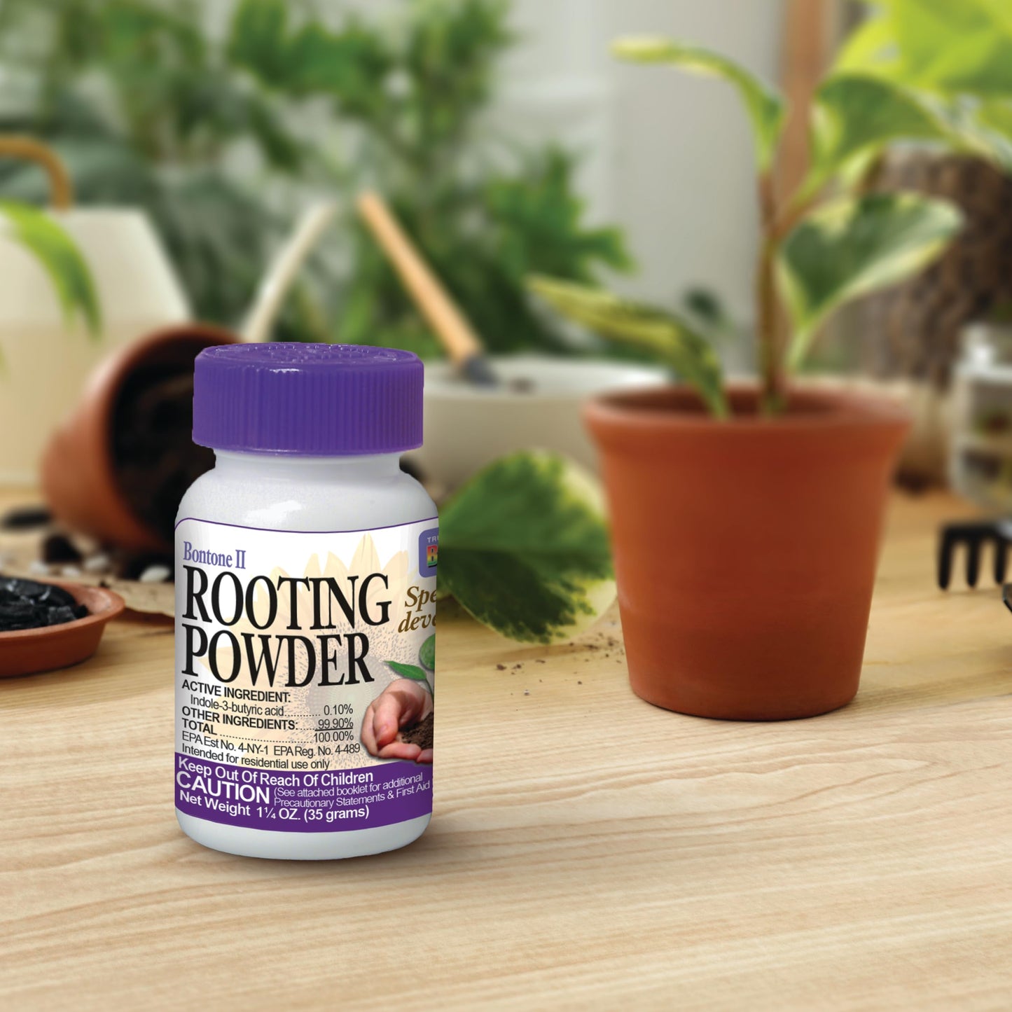 Rooting Powder Dust for Houseplants and Transplants Speeds Root Development