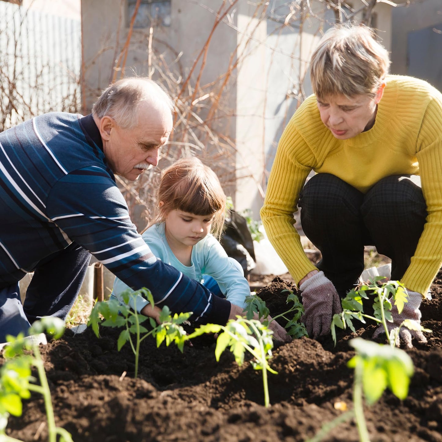 Non-GMO Heirloom Seeds 20,000+ Assorted Varieties available