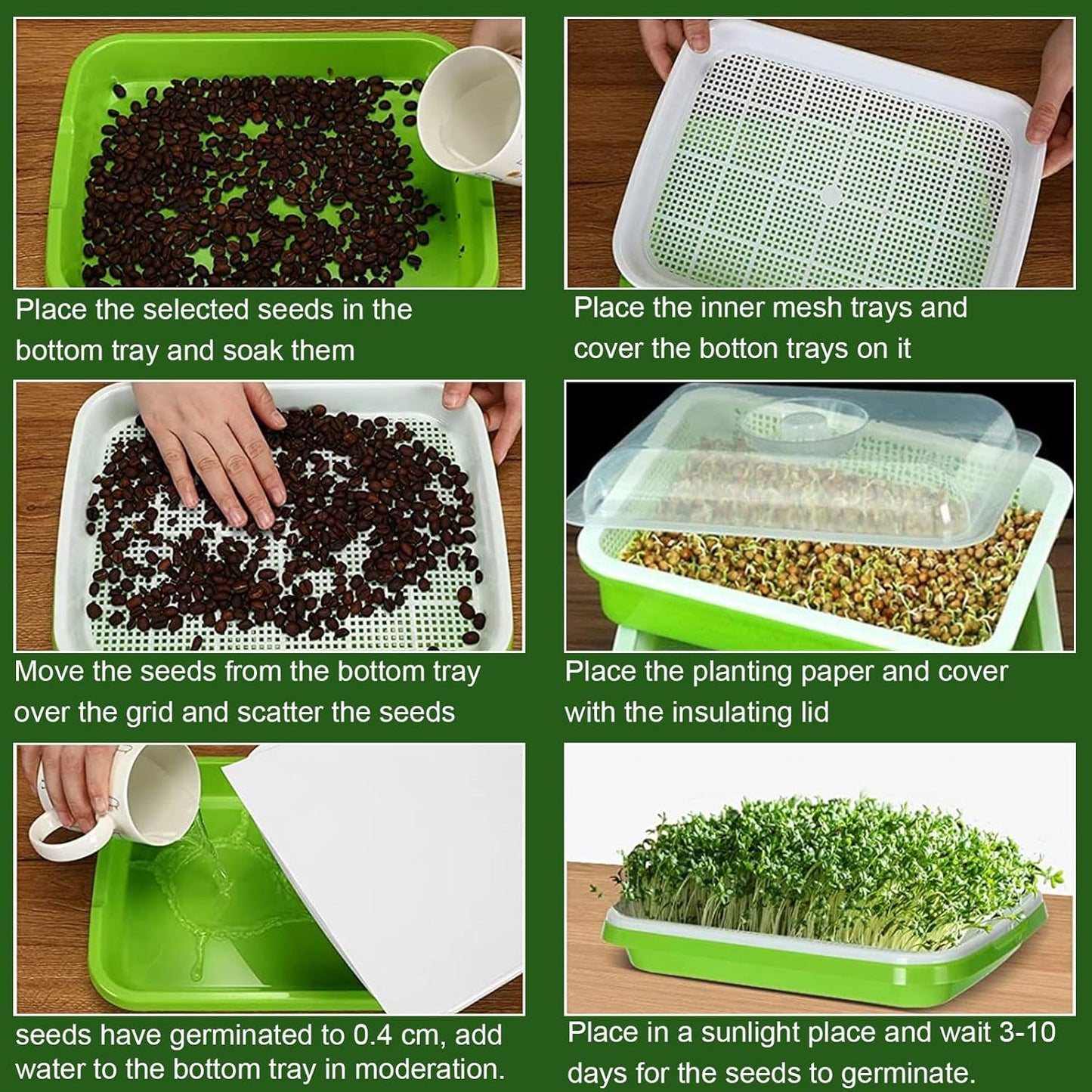 6 Pack Seed Sprouting Tray- BPA Free