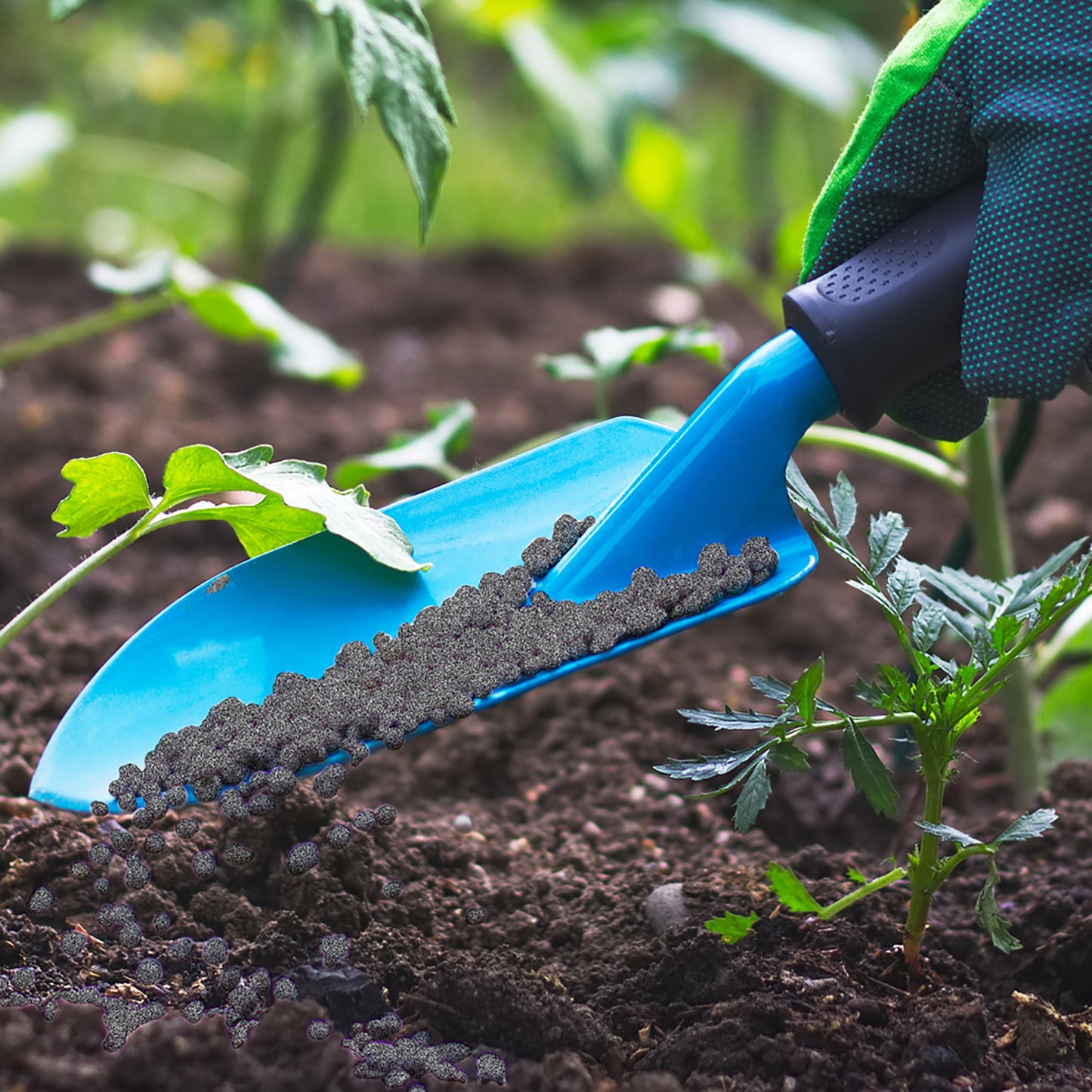 Granular Garden Fertilizer, Easy Plant Care Fertilizer for Vegetable Gardens and Tomato Plants