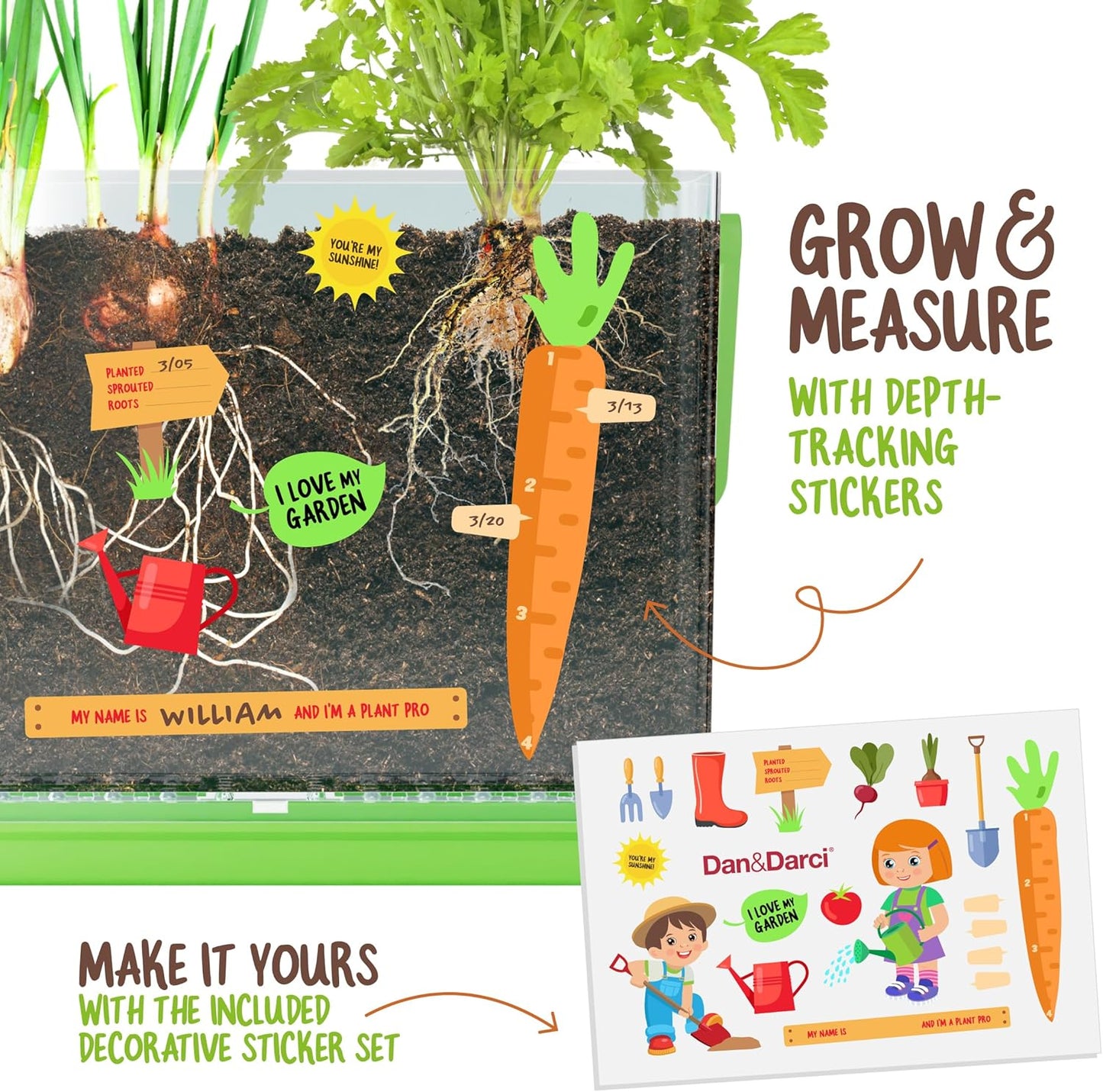 Grow Your Own Plant for Boys & Girls